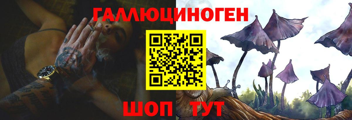 Галлюциногенные грибы Psilocybe  Галлюциногенные грибы прущие грибы  Вход с VPN  Армавир 